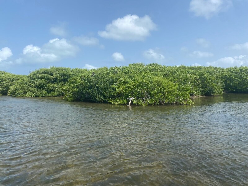 Barbuda
